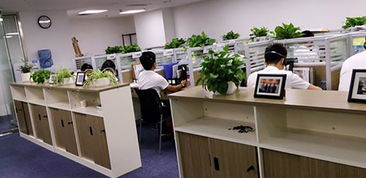 湖南企業管理咨詢行業 賦能企業成長，驅動區域經濟新篇章